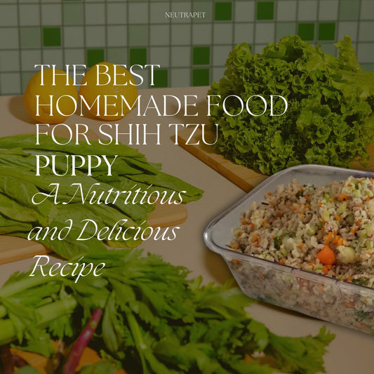 Best Homemade Food for Shih Tzu Puppy: A Nutritious and Delicious Recipe