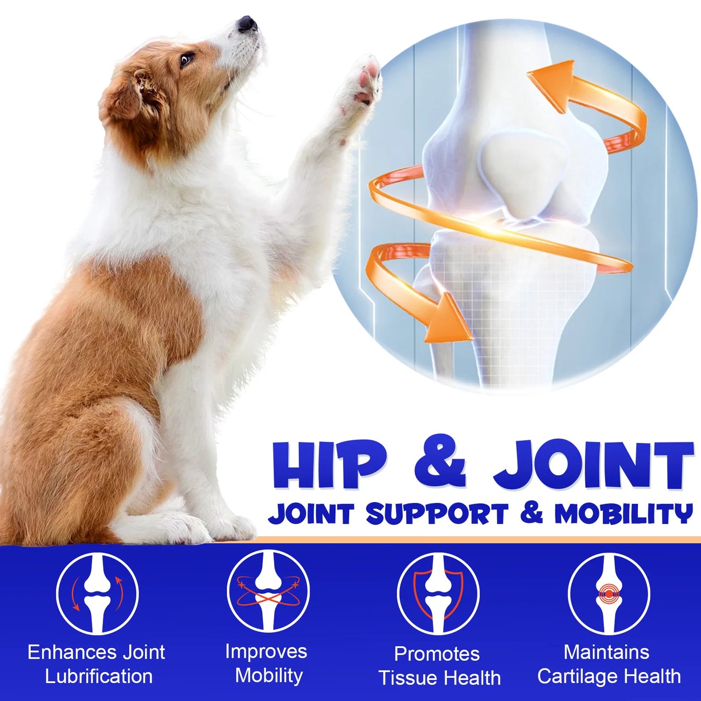 Hip & Joint Support 180 Chews
