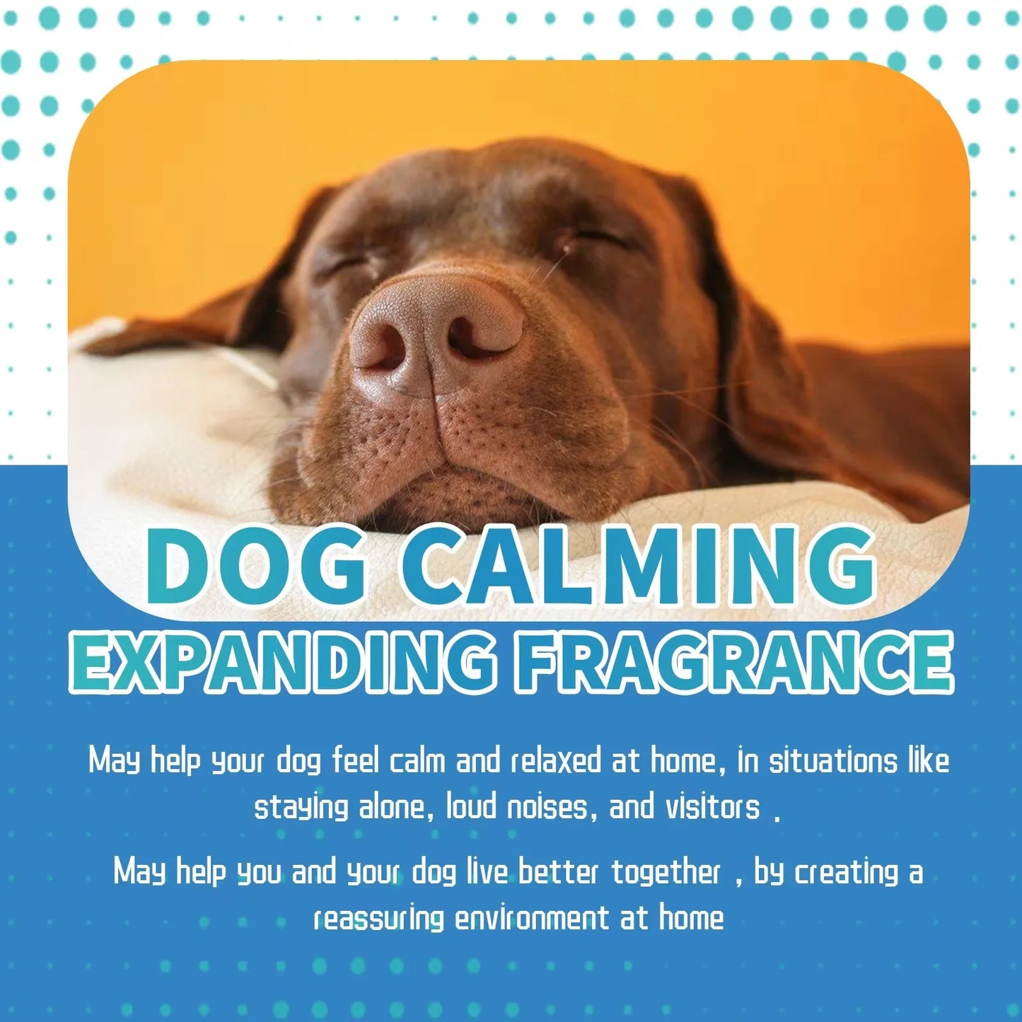 Dog Calming Liquid