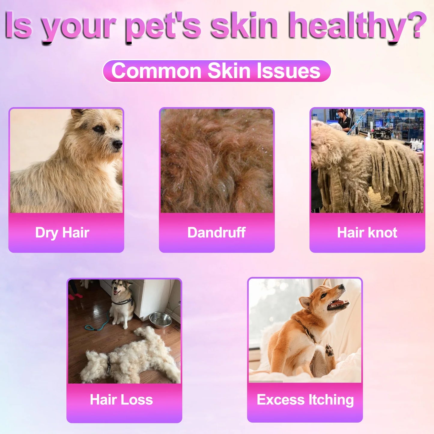 Oimmal Skin & Coat Omega Treats 150 chews