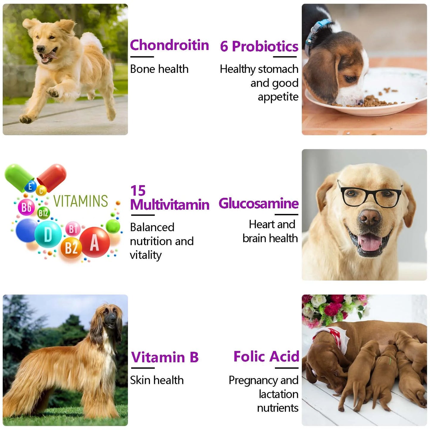 Oimmal 15-in-1 Multivitamin + Hip & Joint + Skin & Coat with Duck Flavor 150 Chews