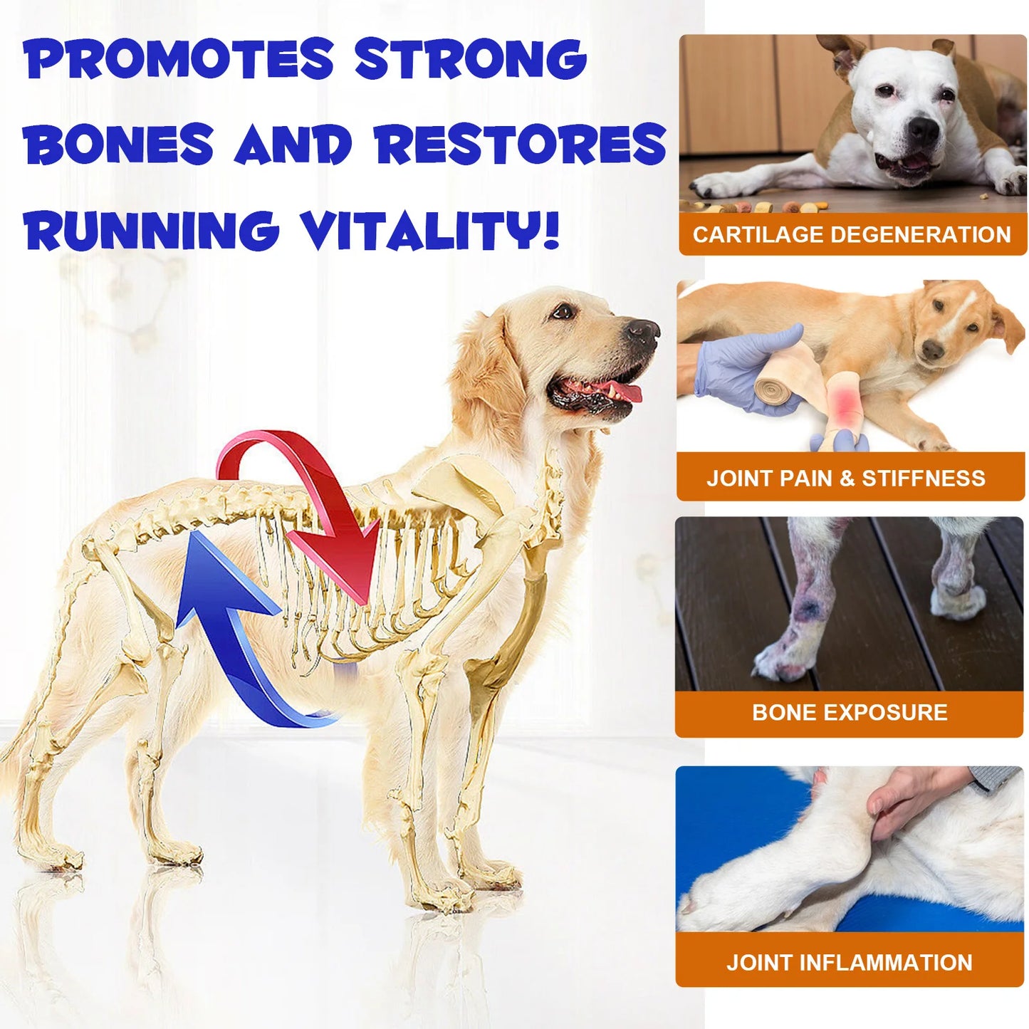 Hip & Joint Support 180 Chews