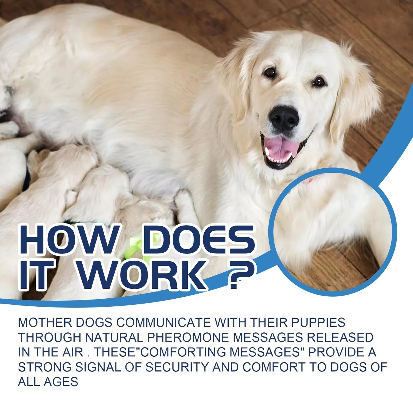 Dog Calming Liquid