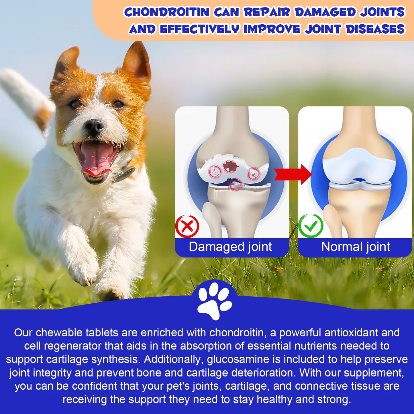 Hip & Joint Support 180 Chews