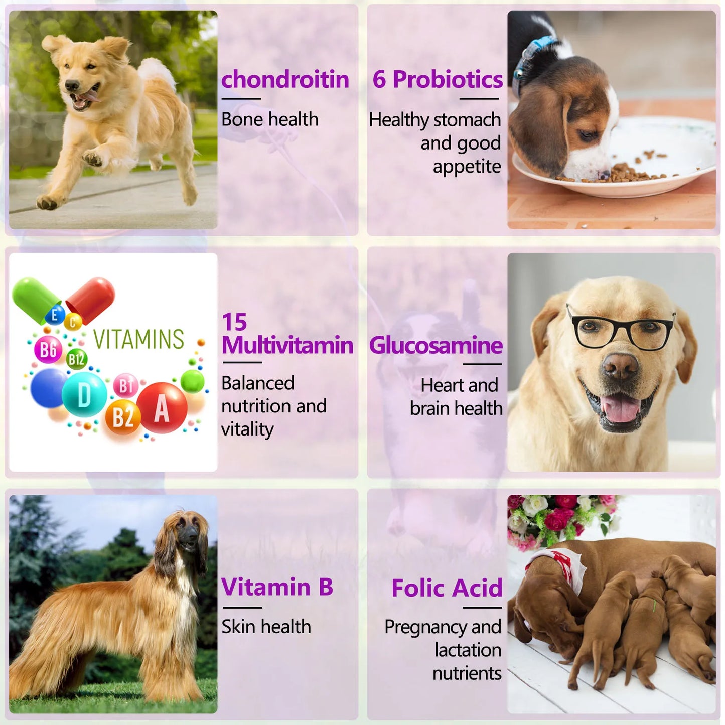 Oimmal 15-in-1 Multivitamin + Hip & Joint + Skin & Coat