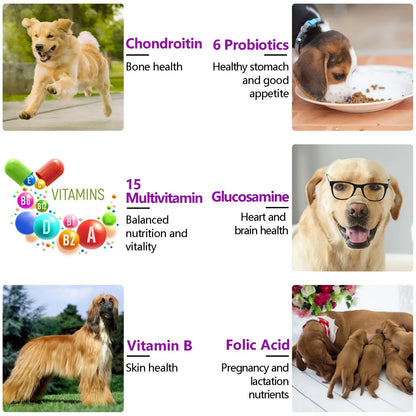 Oimmal 15-in-1 Multivitamin + Hip & Joint + Skin & Coat with Duck Flavor 150 Chews