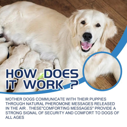 Dog Calming Liquid
