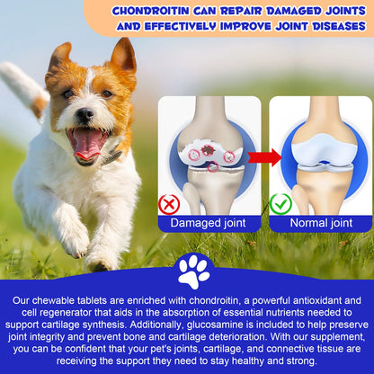 Hip & Joint Support 180 Chews